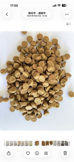 研发纪实 01 · 2023