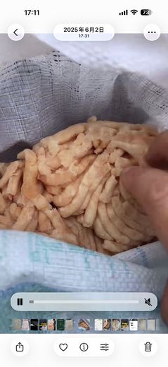 配方升级成鸡胸肉1 · 2025